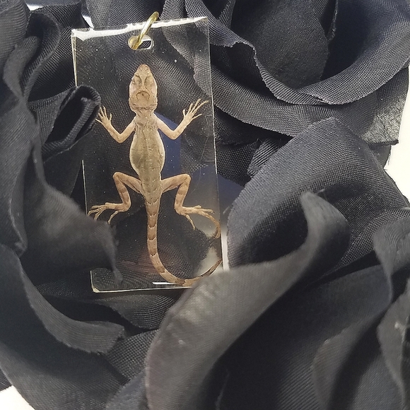 🦇𝕸𝖞 𝕺𝖉𝖉𝖎𝖙𝖞 𝕾𝖍𝖔𝖕🦇 - Picture 9 of 16